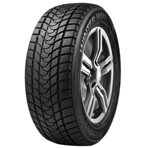 Delinte Winter WD1 225/45 R17 94T